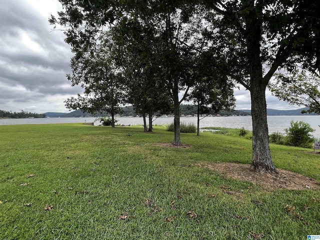 981 Charada Lake Rd Unit 4, Rainbow City, AL 35906