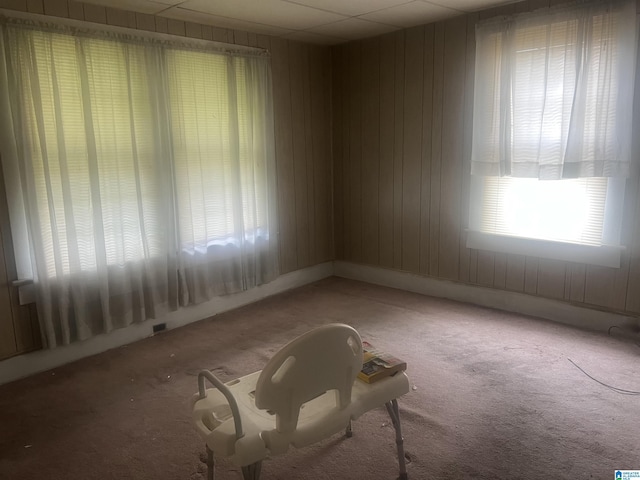 spare room with carpet and wooden walls