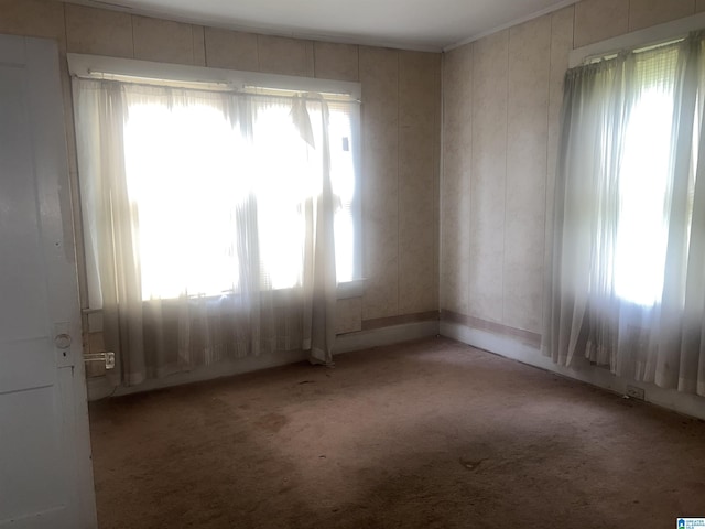 spare room with light carpet
