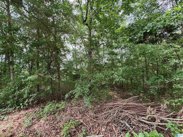 250 Harbour Dr Unit 8A, Wilsonville, AL 35186