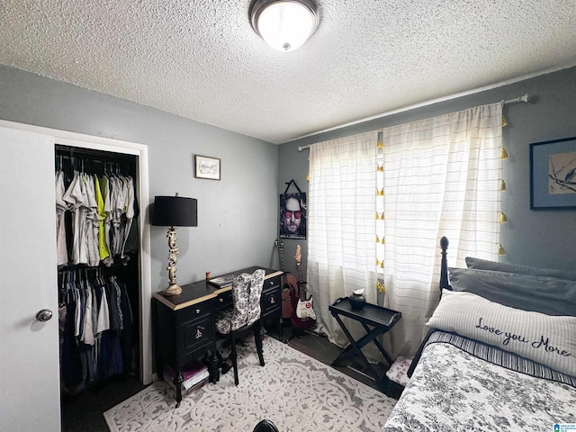 18981 Remlap Dr, Remlap, AL 35133 - bedroom with a closet, a textured ceiling, and multiple windows