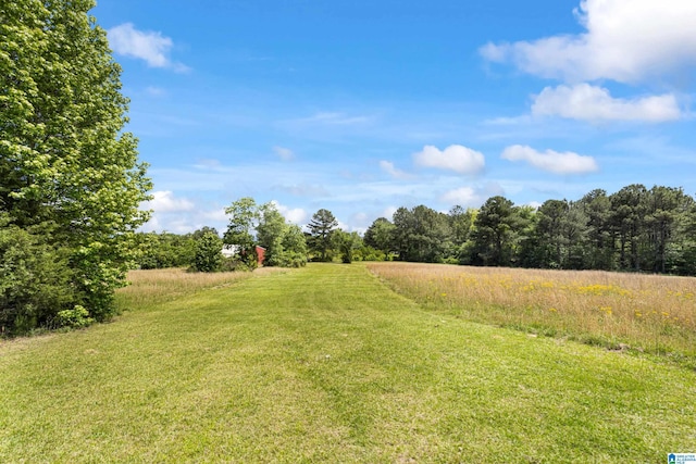 390 Chamblee Ln, Warrior, AL 35180 - view of grassy yard with a view of rural / pastoral area