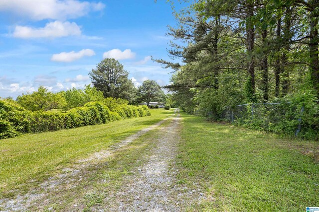 390 Chamblee Ln, Warrior, AL 35180 - view of dirt / gravel road featuring a view of trees