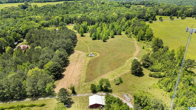 390 Chamblee Ln, Warrior, AL 35180 - overview of rural landscape with a heavily wooded area