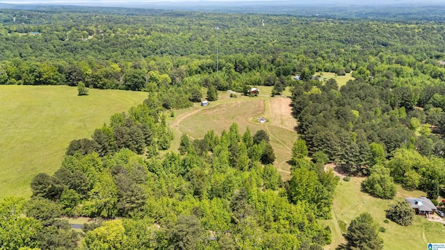 390 Chamblee Ln, Warrior, AL 35180 - bird's eye view of a forest