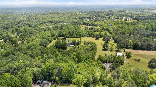 390 Chamblee Ln, Warrior, AL 35180 - aerial view of a heavily wooded area
