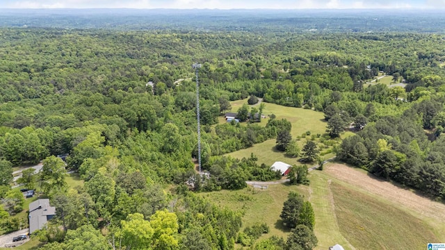 390 Chamblee Ln, Warrior, AL 35180 - bird's eye view of a heavily wooded area