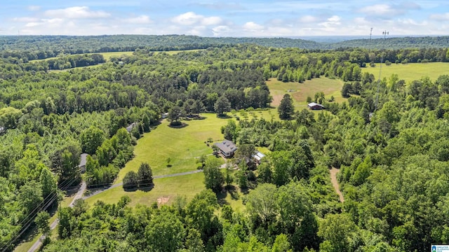 390 Chamblee Ln, Warrior, AL 35180 - bird's eye view of a forest