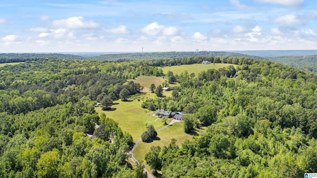 390 Chamblee Ln, Warrior, AL 35180 - bird's eye view of a forest