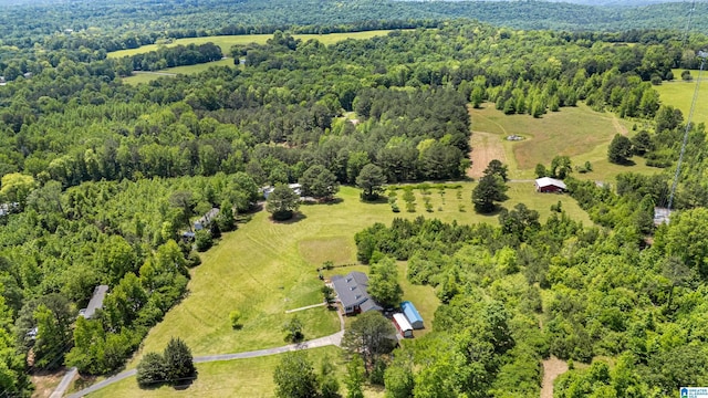 390 Chamblee Ln, Warrior, AL 35180 - drone / aerial view of a forest