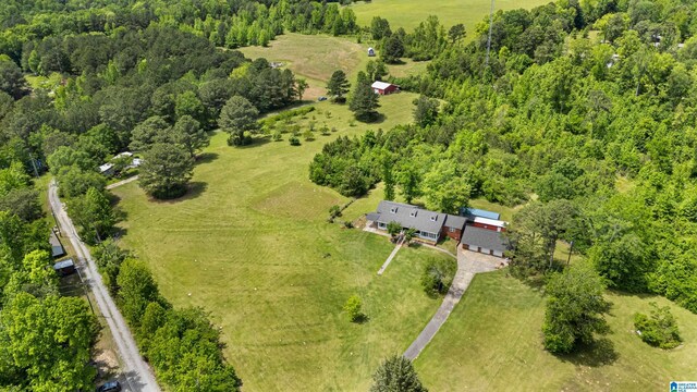 390 Chamblee Ln, Warrior, AL 35180 - view of rural area