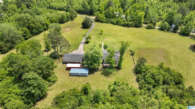 390 Chamblee Ln, Warrior, AL 35180 - overview of rural landscape