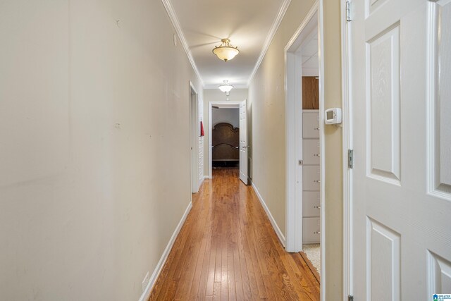 390 Chamblee Ln, Warrior, AL 35180 - hall featuring light wood finished floors, ornamental molding, and baseboards