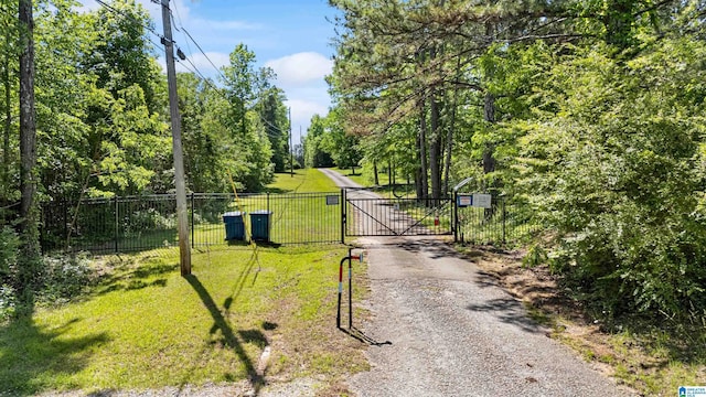 390 Chamblee Ln, Warrior, AL 35180 - view of street featuring a gate and a gated entry