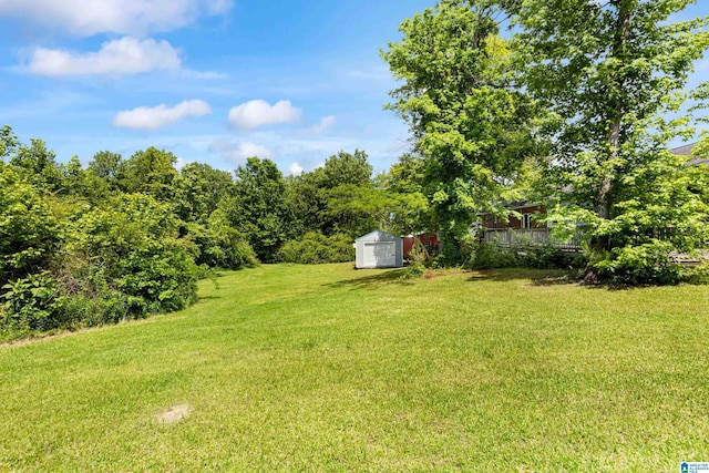 390 Chamblee Ln, Warrior, AL 35180 - view of green lawn featuring a storage shed, an outdoor structure, and a garage