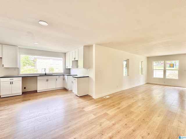 kitchen featuring a sink, healthy amount of natural light, light wood-style flooring, and recessed lighting