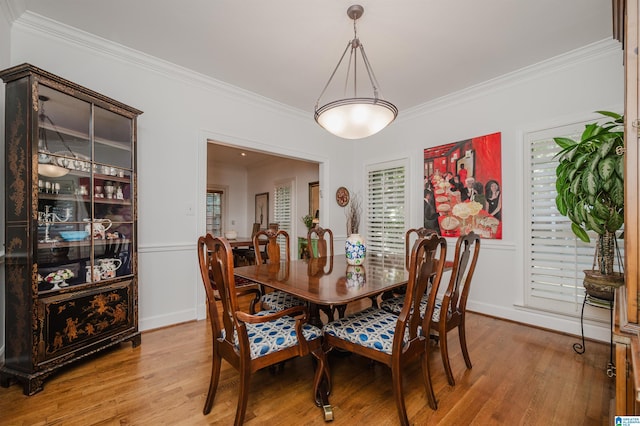 1209 29th St S, Birmingham, AL 35205 - dining room with crown molding, wood finished floors, and wainscoting