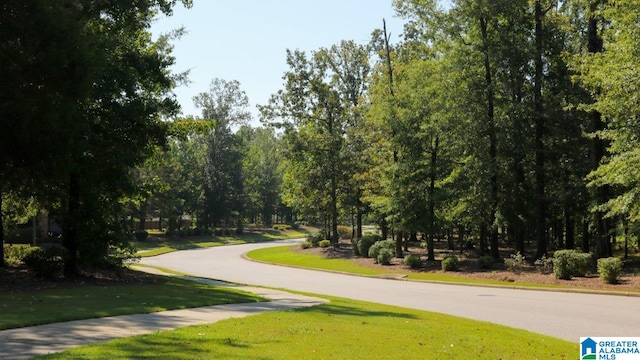 view of community with a yard