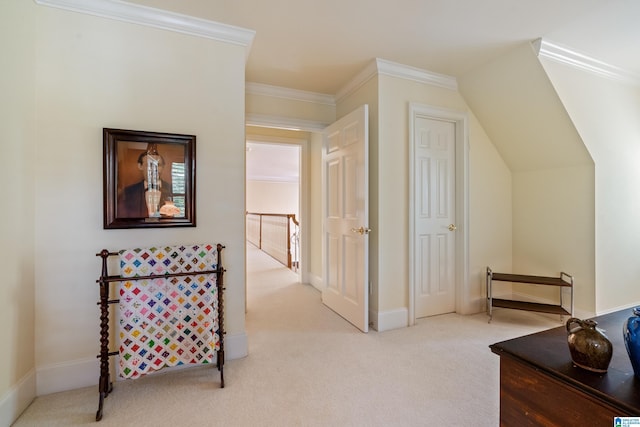 bonus room featuring light colored carpet and baseboards