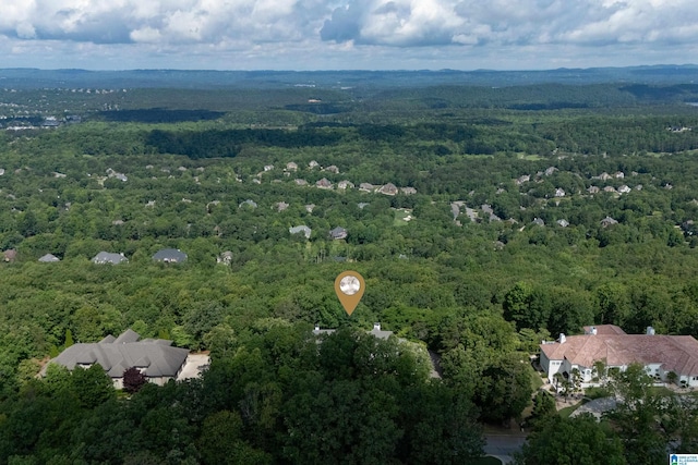 bird's eye view of a forest