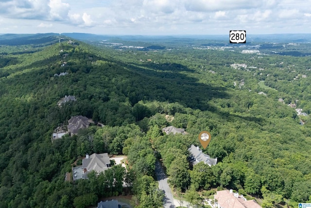 aerial view of a forest