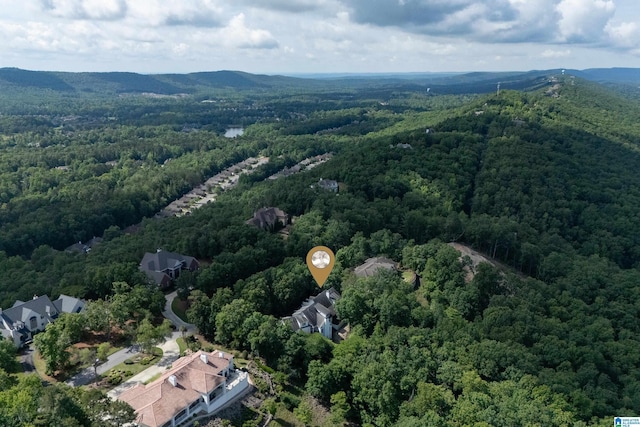 aerial overview of property's location featuring a forest