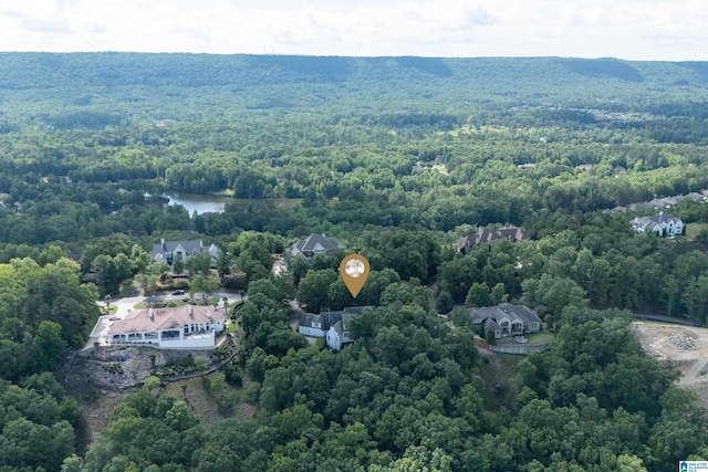 bird's eye view of a forest and a nearby body of water