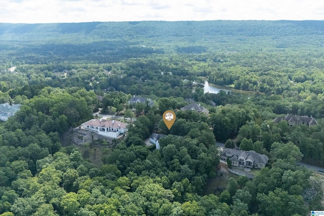 drone / aerial view of a heavily wooded area and a nearby body of water