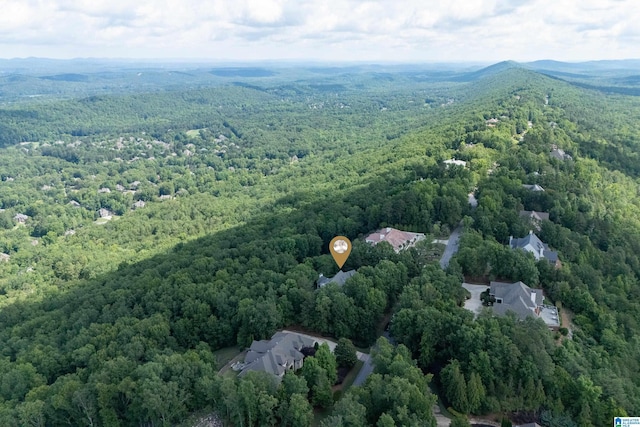 aerial view of a forest