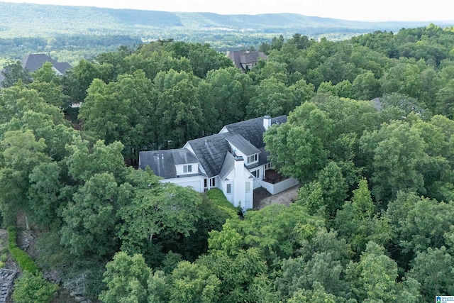 drone / aerial view of a heavily wooded area