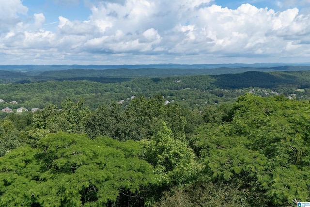 bird's eye view of a heavily wooded area