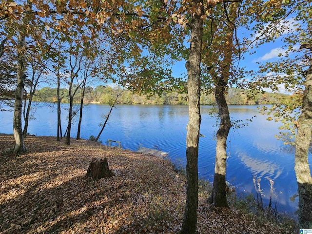 14536 Plant Rd Unit 28, Alpine, AL 35014