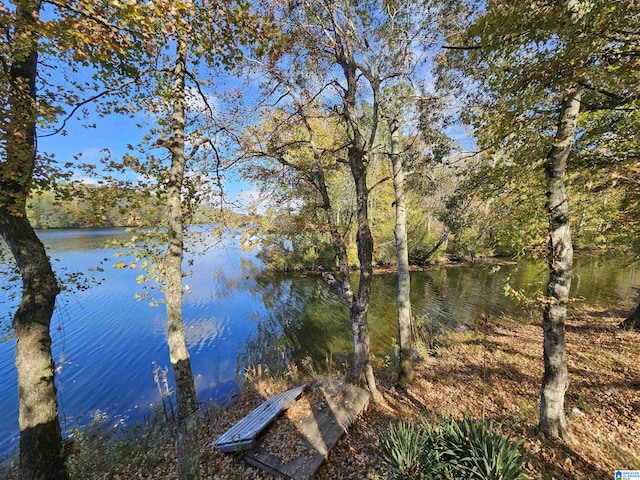 14536 Plant Rd Unit 28, Alpine, AL 35014