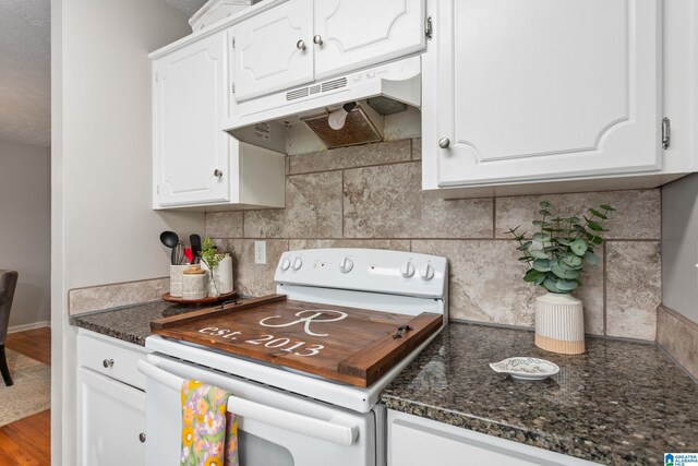 76 Pine Tree Ln, Alexandria, AL 36250 - kitchen with electric range, under cabinet range hood, backsplash, and white cabinets