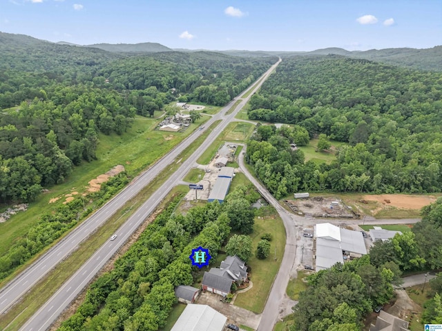 13688 Remlap Dr, Remlap, AL 35133 - aerial overview of property's location featuring a forest and a mountain backdrop