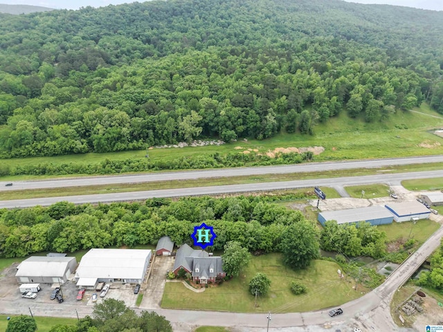 13688 Remlap Dr, Remlap, AL 35133 - aerial view of a forest