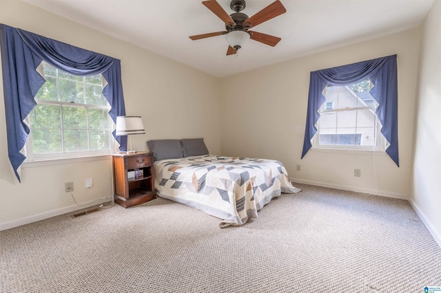 994 Comanche Trl, Anniston, AL 36206 - bedroom featuring multiple windows, carpet floors, and baseboards
