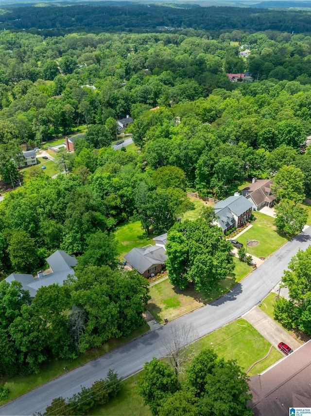 994 Comanche Trl, Anniston, AL 36206 - aerial view of a forest