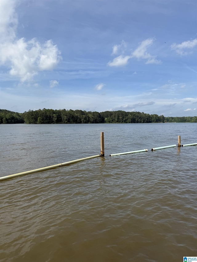 829 Higgs Dr, Adger, AL 35006 - dock featuring a water view
