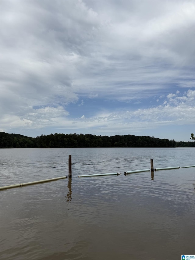 829 Higgs Dr, Adger, AL 35006 - dock area with a water view