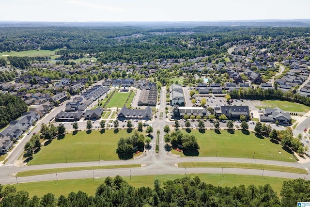 aerial perspective of suburban area with a forest