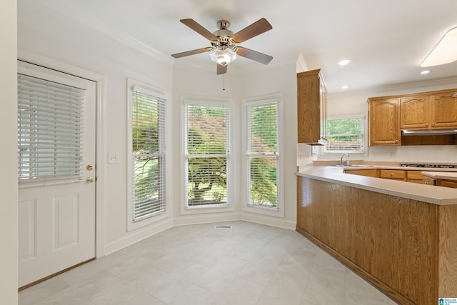 175 Sunhill Rd, Remlap, AL 35133 - kitchen featuring gas cooktop, light countertops, under cabinet range hood, ceiling fan, and ornamental molding