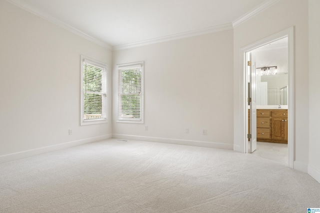 175 Sunhill Rd, Remlap, AL 35133 - spare room with light carpet, ornamental molding, and baseboards