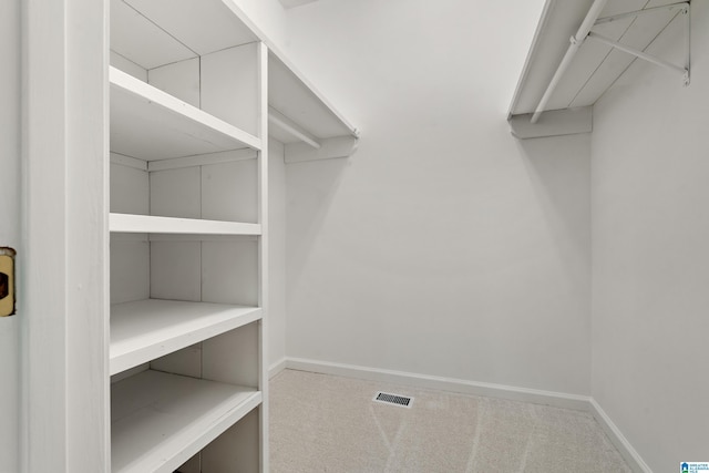175 Sunhill Rd, Remlap, AL 35133 - walk in closet featuring carpet