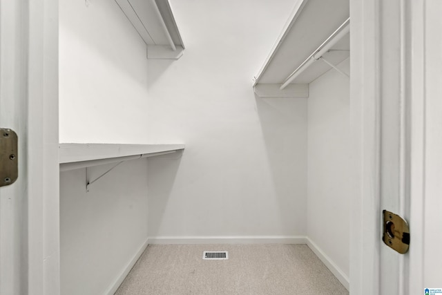 175 Sunhill Rd, Remlap, AL 35133 - spacious closet with carpet flooring and attic access
