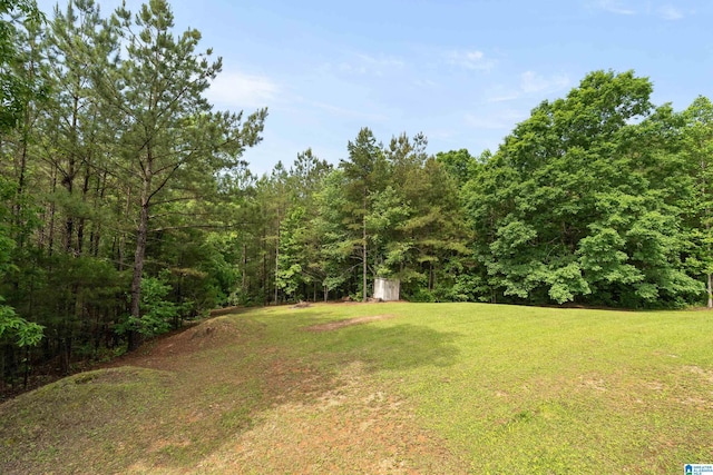 175 Sunhill Rd, Remlap, AL 35133 - view of grassy yard with a forest view