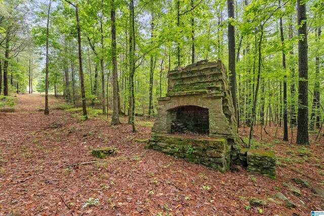 175 Sunhill Rd, Remlap, AL 35133 - view of yard featuring a forest view