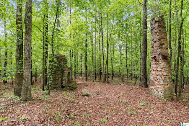 175 Sunhill Rd, Remlap, AL 35133 - view of woods