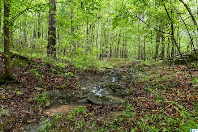 175 Sunhill Rd, Remlap, AL 35133 - view of woods