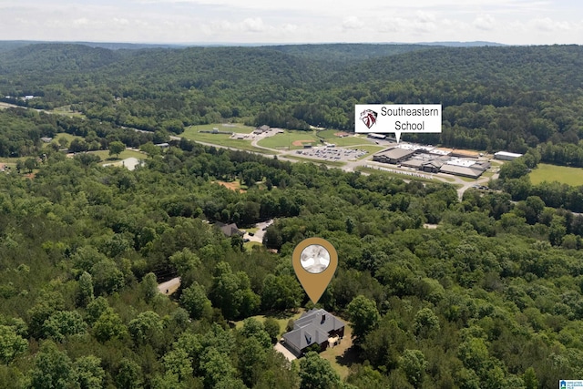 175 Sunhill Rd, Remlap, AL 35133 - bird's eye view of a forest